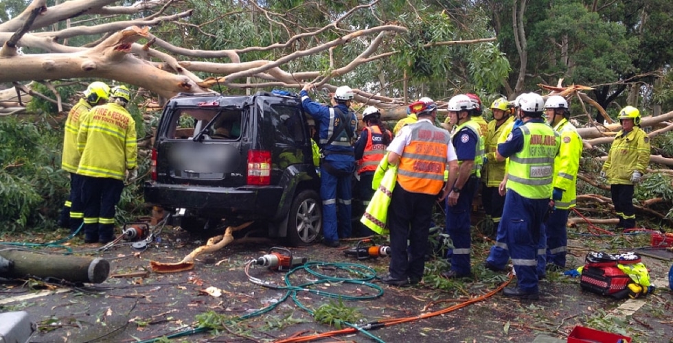Woman airlifted after tree falls on car CareFlight
