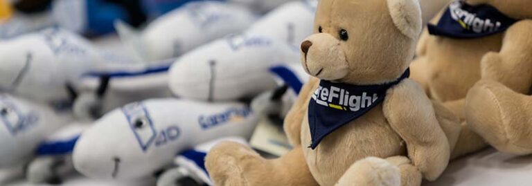 careflight bears ebay