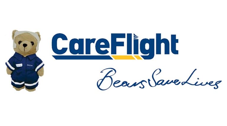 careflight bears ebay